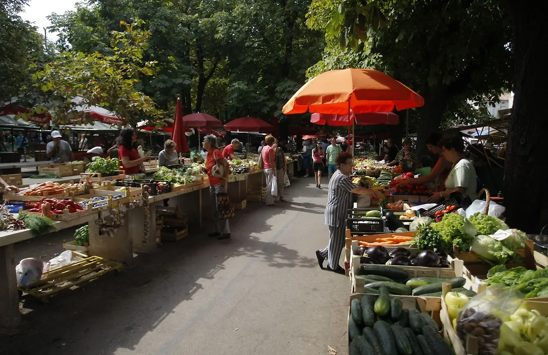 Pula City Center Accommodation - Breakfast Included-1